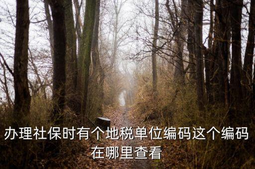 稅務(wù)局編號(hào)在什么位置，安康稅務(wù)機(jī)關(guān)地區(qū)編號(hào)在哪里