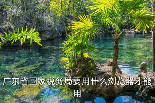 報稅要什么瀏覽器，山東國稅網(wǎng)上申報系統(tǒng)需要什么瀏覽器