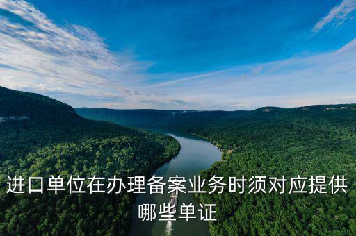 備案號(hào)在什么單證上，進(jìn)口單位在辦理備案業(yè)務(wù)時(shí)須對(duì)應(yīng)提供哪些單證