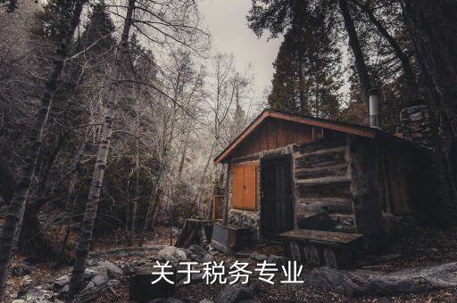 稅務(wù)是什么專業(yè)，關(guān)于稅務(wù)專業(yè)