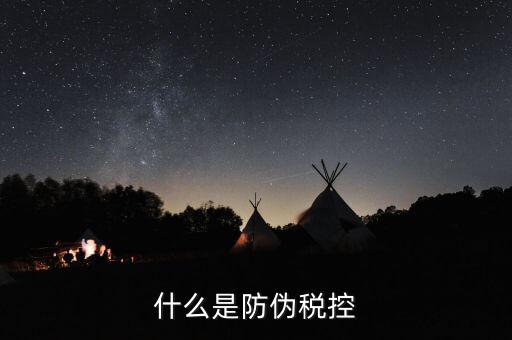 防偽稅控盤什么，什么是防偽稅控