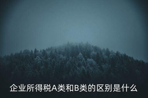 企業(yè)所得稅b類是什么意思，企業(yè)所得稅A類和B類的區(qū)別是什么