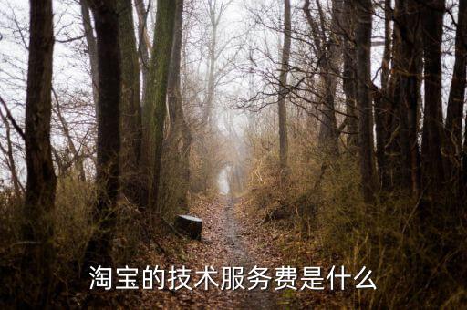 技術(shù)咨詢服務(wù)費(fèi)指什么，醫(yī)藥行業(yè)技術(shù)服務(wù)費(fèi)包含什么內(nèi)容