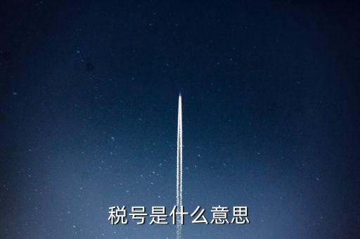 稅號是什么意思