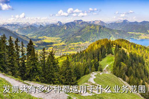 什么業(yè)務(wù)應(yīng)該專業(yè)發(fā)票，單位收費(fèi)開票1定要專業(yè)的
