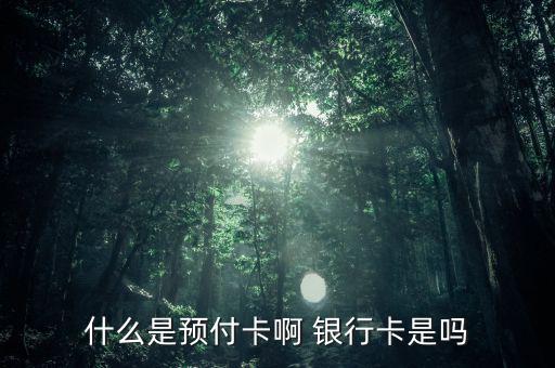 支付機構預付卡是什么意思，銀聯(lián)預付卡是什么意思