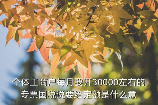 國(guó)稅定額是什么意思，個(gè)體工商戶每月要開(kāi)30000左右的專票國(guó)稅說(shuō)要給定額是什么意