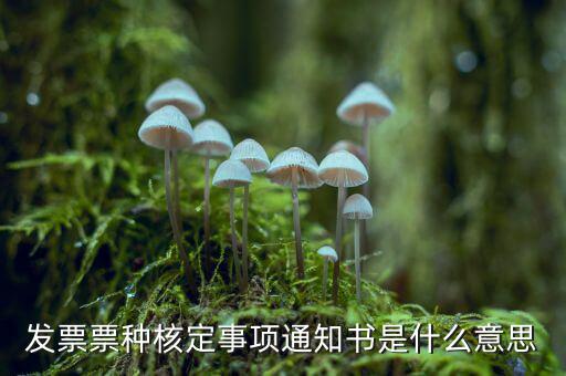 票種核定是什么，哪些情況下要進(jìn)行國稅票種核定