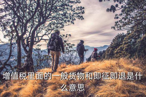 什么叫即征即退政策，增值稅里面的一般貨物和即征即退是什么意思