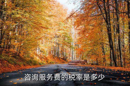 咨詢服務(wù)交什么稅，公司收到一筆咨詢費應(yīng)該如何納稅稅率是多少急謝謝