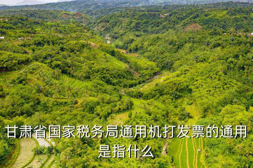 山西省稅務(wù)局六最是指什么，甘肅省國家稅務(wù)局通用機打發(fā)票的通用是指什么