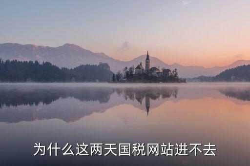 為什么濟(jì)南國(guó)稅網(wǎng)站進(jìn)不去，為什么這兩天國(guó)稅網(wǎng)站進(jìn)不去