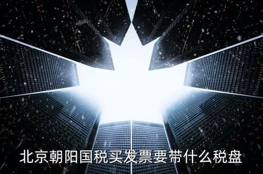 北京朝陽(yáng)國(guó)稅買發(fā)票要帶什么稅盤