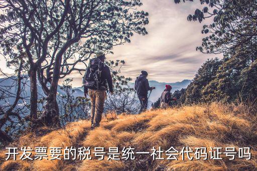 開發(fā)票要的稅號(hào)是統(tǒng)一社會(huì)代碼證號(hào)嗎