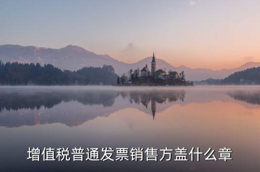 發(fā)票稅務(wù)章什么樣的，增值稅普通發(fā)票銷售方蓋什么章
