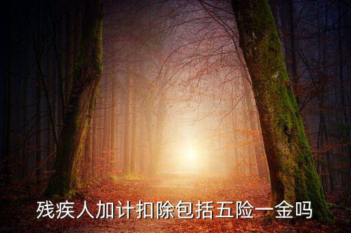 殘疾人加計扣除是什么意思，福利企業(yè)殘疾職工工資百分百加計扣除是怎么回事