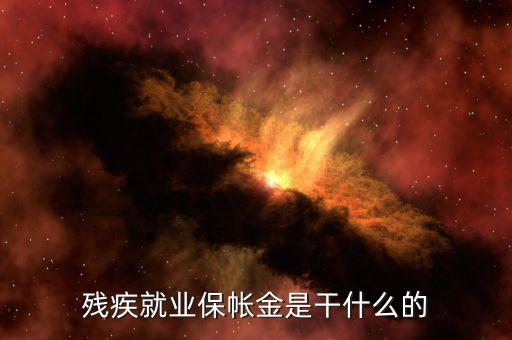 殘疾人保障金有什么用，殘疾就業(yè)保帳金是干什么的