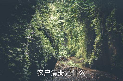 辦稅事項(xiàng)清冊(cè)是什么，會(huì)計(jì)檔案移交清冊(cè)什么意思