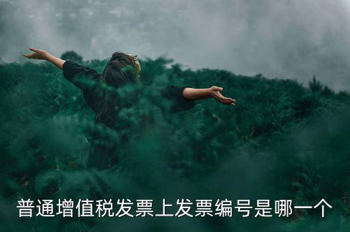 增值稅編號是什么，普通增值稅發(fā)票上發(fā)票編號是哪一個