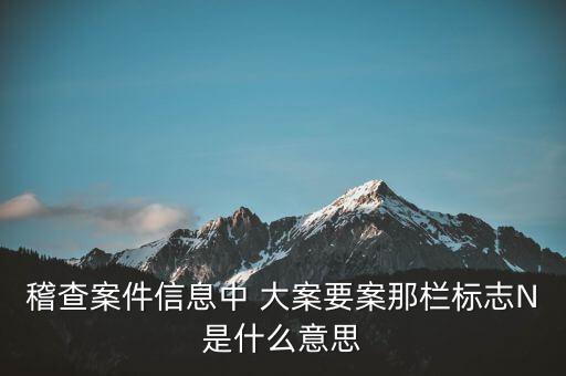 稽查案件信息中 大案要案那欄標志N是什么意思