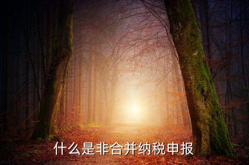 什么是非匯總納稅企業(yè)，什么是跨區(qū)經(jīng)營匯總納稅企業(yè)