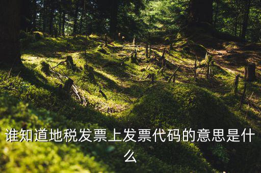 河北地稅發(fā)票的查詢碼是什么意思，如何查詢地稅發(fā)票開票點注冊碼是什么