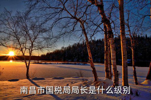 南昌市國稅局局長是什么級(jí)別
