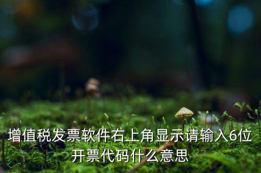 發(fā)票查詢校驗(yàn)碼后六位是什么，發(fā)票驗(yàn)證碼是什麼