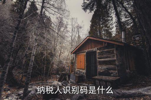 稅務(wù)識別碼有什么用，納稅人識別碼是什么