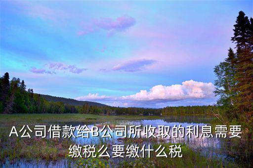 借款利息交什么稅，A公司借款給B公司所收取的利息需要繳稅么要繳什么稅