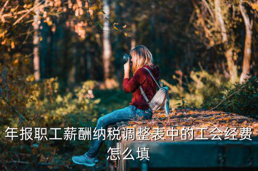 工會(huì)經(jīng)費(fèi)減除項(xiàng)填什么，網(wǎng)上報(bào)稅時(shí)又多了一項(xiàng)工會(huì)經(jīng)費(fèi)怎樣填寫計(jì)算