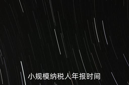 納稅申報年報什么時候，小規(guī)模納稅人年報時間