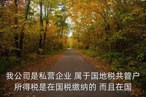 國(guó)地共管需要叫什么稅，國(guó)稅地稅共管公司都需要每個(gè)月報(bào)稅嗎意思就是說我每個(gè)月地稅