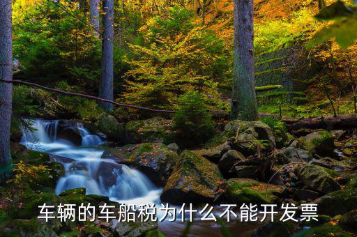 為什么車(chē)船稅沒(méi)有發(fā)票，車(chē)輛的車(chē)船稅為什么不能開(kāi)發(fā)票