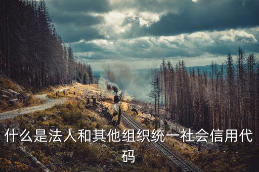 統(tǒng)一社會(huì)信用碼是什么意思，深圳碼統(tǒng)一社會(huì)信用代碼是什么