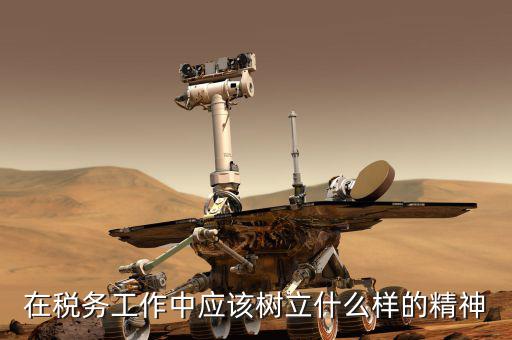 什么是地稅精神，在稅務工作中應該樹立什么樣的精神