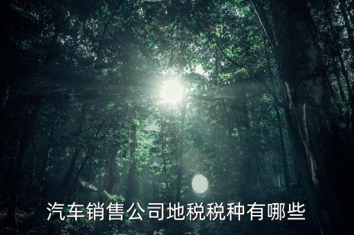 銷售汽車?yán)U納什么稅，一般納稅人公司銷售使用過的汽車要交哪些稅