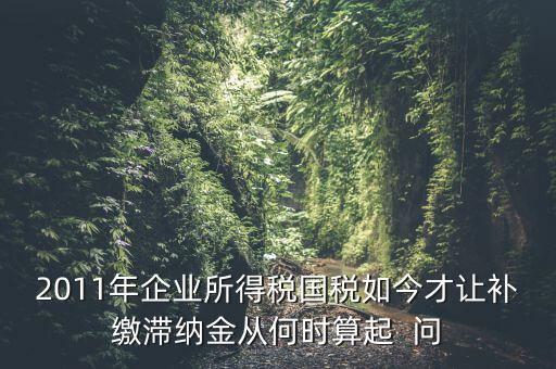 納稅滯納金什么時候算，企業(yè)所得稅滯納金計算從何時開始計算