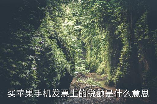 發(fā)票上的稅額是什么意思，買蘋果手機(jī)發(fā)票上的稅額是什么意思