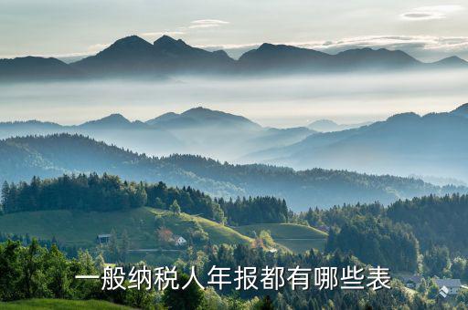 國稅年報是什么表，年報是指哪些報表是112月的嗎