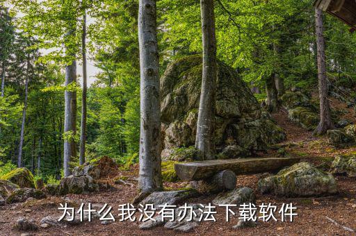 為什么沒辦法下載etax，為什么我沒有辦法下載軟件