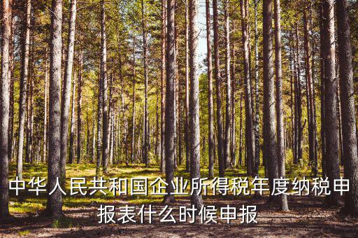 國稅企業(yè)所得稅什么時候申報，企業(yè)所得稅申報時間