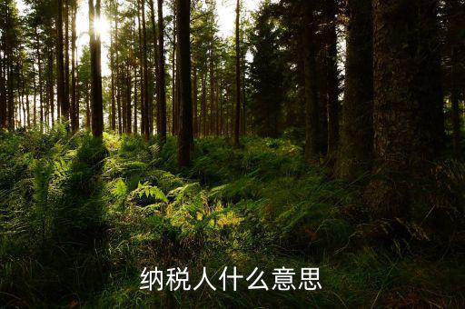 納稅資格什么意思，具有納稅人資格是什么意思