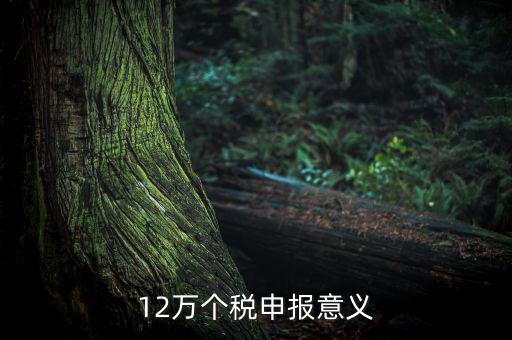 12萬(wàn)個(gè)稅申報(bào)意義