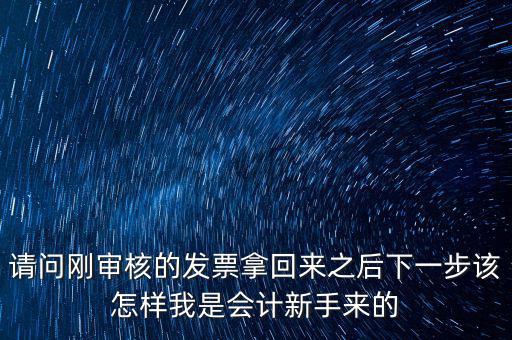 請(qǐng)問剛審核的發(fā)票拿回來之后下一步該怎樣我是會(huì)計(jì)新手來的
