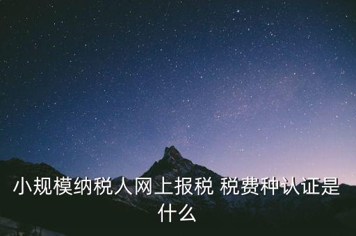 小規(guī)模納稅人網(wǎng)上報稅 稅費種認證是什么