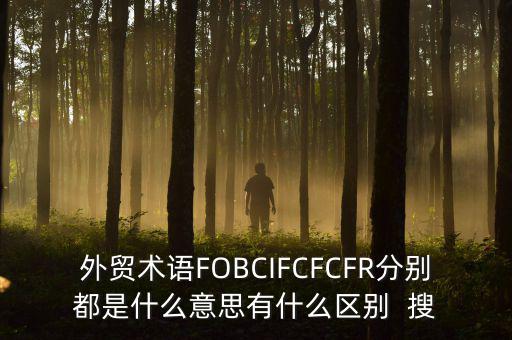 什么是被指定國別報告，什么是SGS