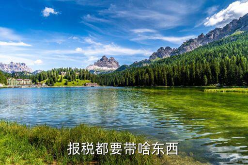 申報繳稅帶什么，報稅都要帶啥東西