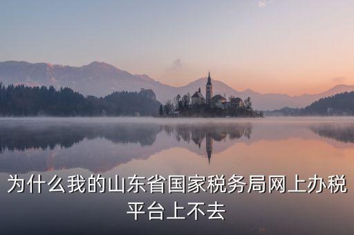 為什么登陸不了網(wǎng)上辦稅廳，為什么我的山東省國(guó)家稅務(wù)局網(wǎng)上辦稅平臺(tái)上不去