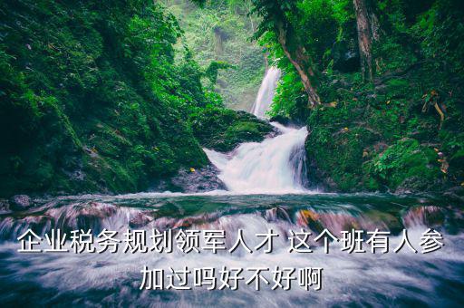 企業(yè)稅務規(guī)劃領軍人才 這個班有人參加過嗎好不好啊